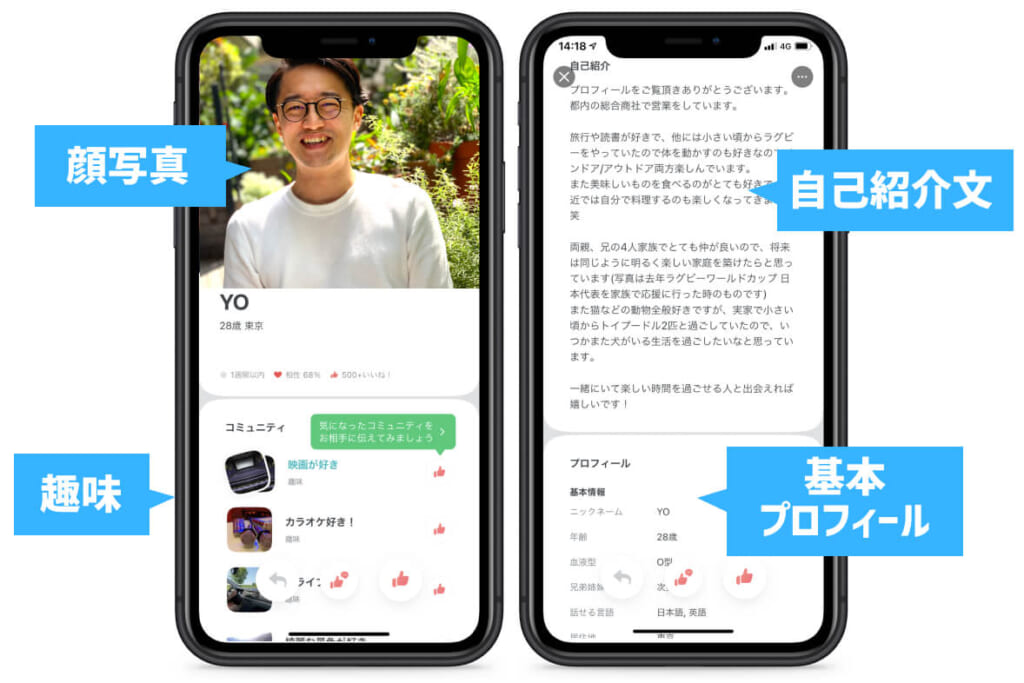プロフィール要素(男性)