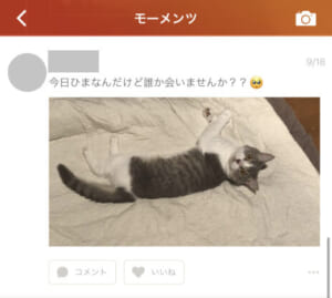 tantan-モーメンツ画面