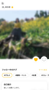 HOP-相手プロフィール