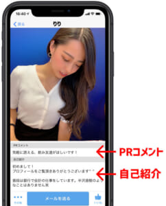 ハッピーメール自己紹介画面イメージ